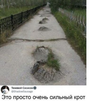 т Миши Это просто очень сильный крот