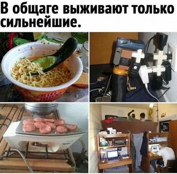 В общаге выживают только сильнеишие