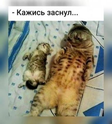Кажись заснул
