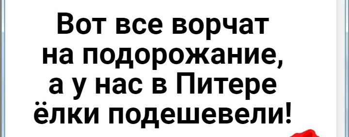 Вот все ворчат на подорожание а у нас в Питере ёлки подешевели А