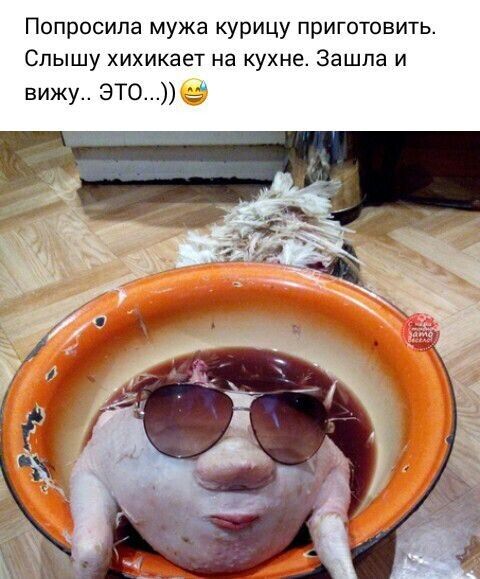 Попросила мужа курицу приготовить Слышу хихикает на кухне Зашла и вижу ЭТО З