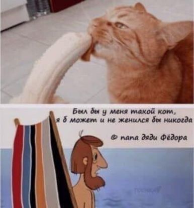 в дц у ком мвдм и шим бы иида в мм Энди Фёдора А