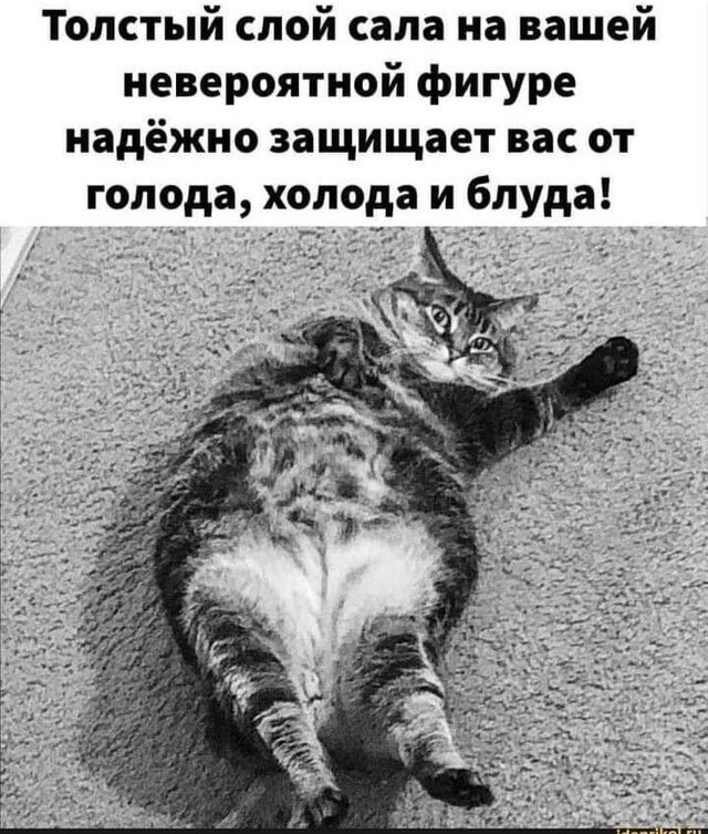 Толстый слой сала на вашей невероятной фигуре надёжно защищает вас от голода холода и блуда