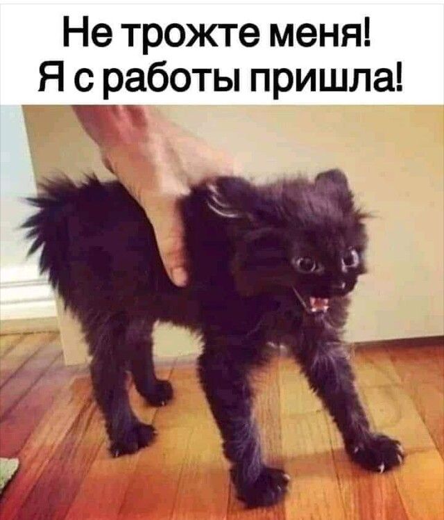 Не трожте меня Я с работы пришла _