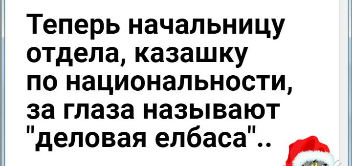 Теперь начальницу отдела казашку по национальности за глаза называют деловая елбаса 41