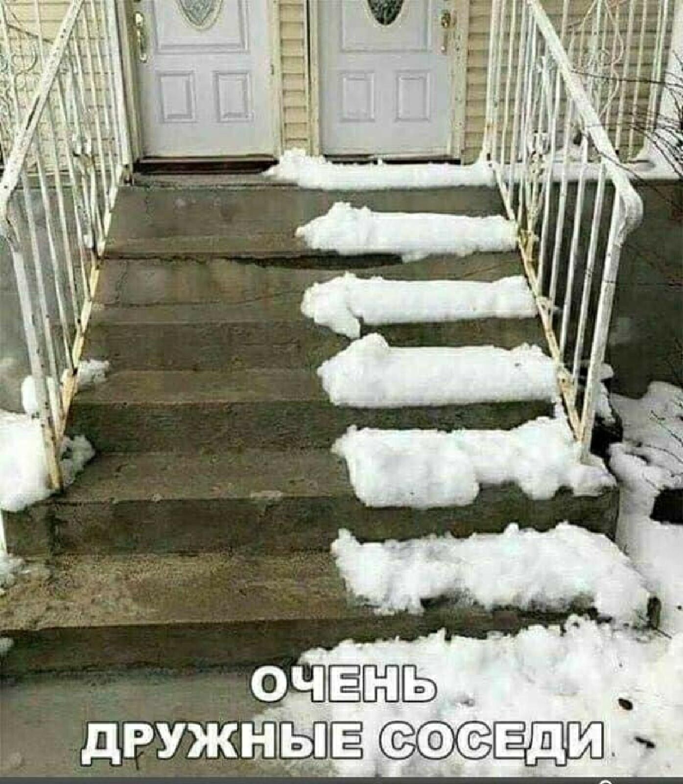 Дружные ьогёщю