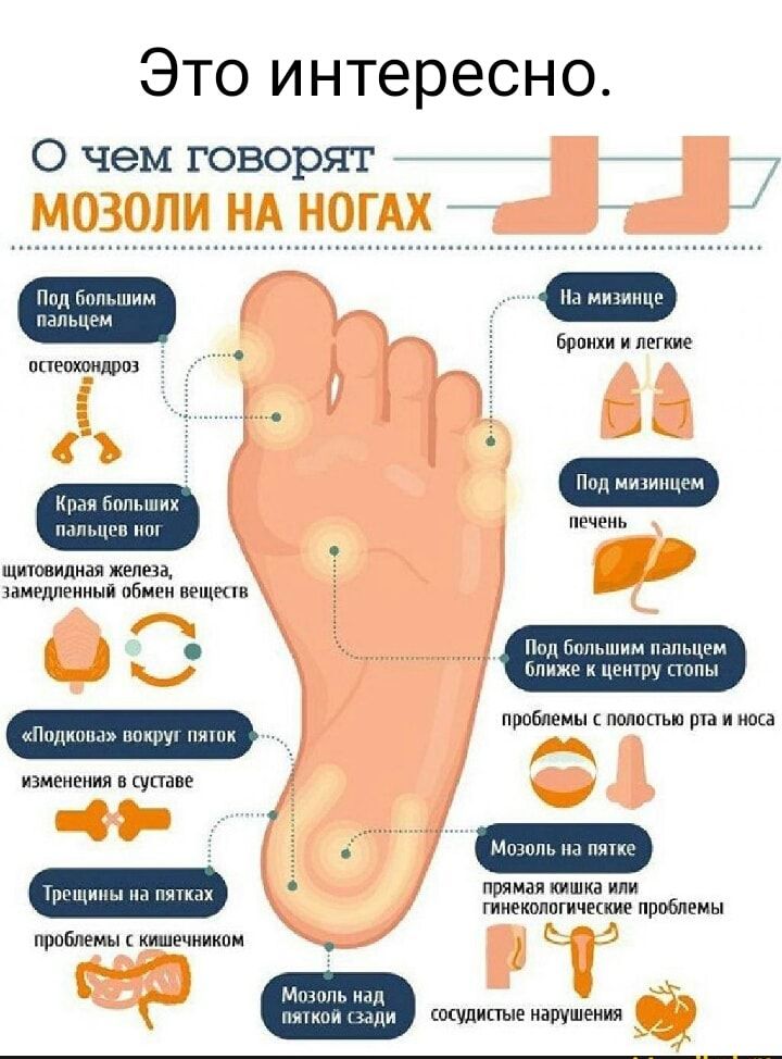 Это интересно 0 чем говорят Пнд бппы м На мидинце пальцем _ _ брони и легкие ппеошнпрпз Кран бот их мы пп печень щитовидная железа ММРЩШЕННЫЙ пбмпн пещшп Под Большим пальцем Ближе к центру попы проблемы попппьп рта и наса Ппдноцд циируп ниши изменения в супаве Трг щииы на пятках прямая кишка или гинекологические проблемы пппблемы нишешиком Ммппь инд пуп индии сосудистыенарушения