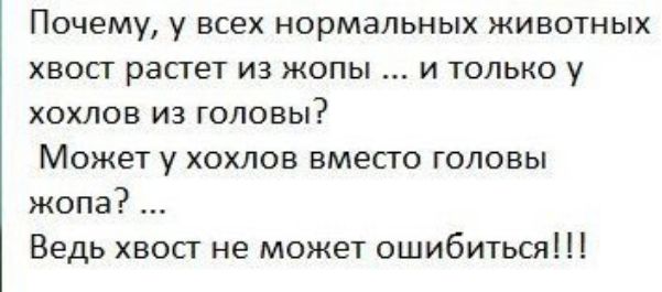 Почему у всех нормальных животных хвост растет из жопы и только у хохлов из головы Может у хохлов вместо головы жопа Ведь хвост не может ошибиться