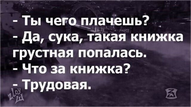 Ты чегцплачешь _ да сука такая книжка грустная попалась Что за книжка Трудовая ид