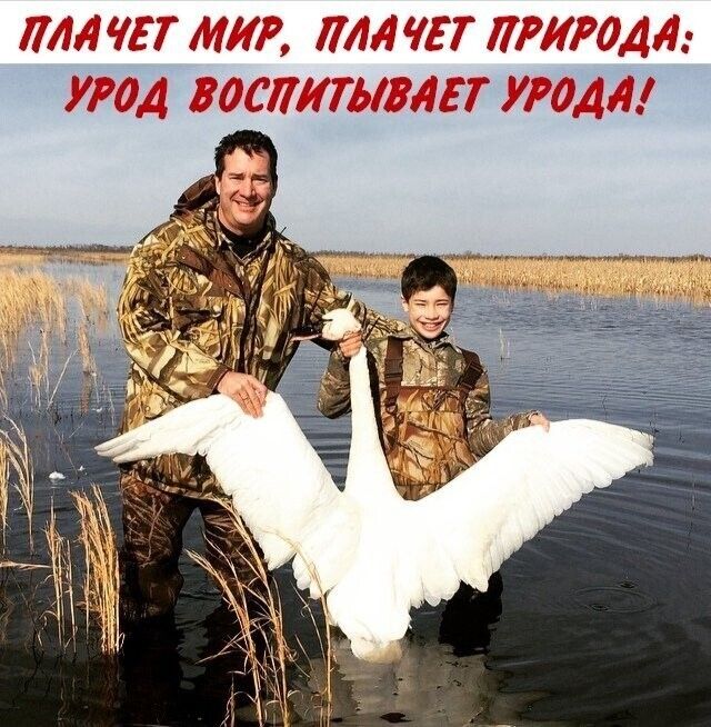 И З Лиии 441113 ютъ м7 ьцкцциьд фщчфыь