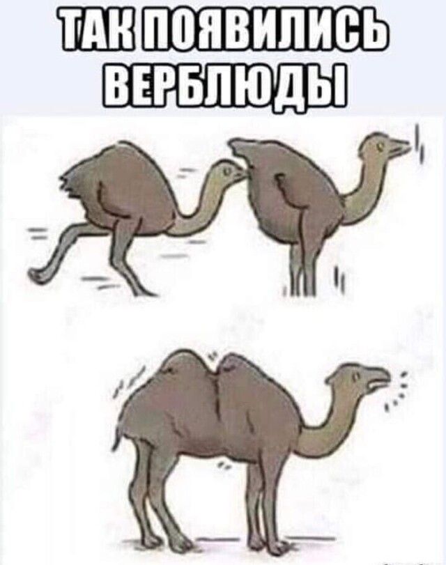 ШШ А о г