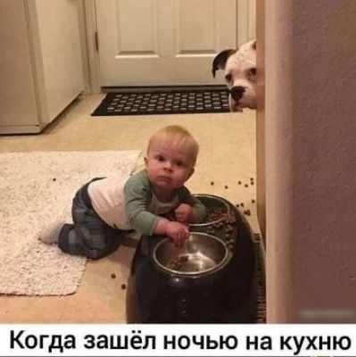 Когда зашёл ночью на кухдв