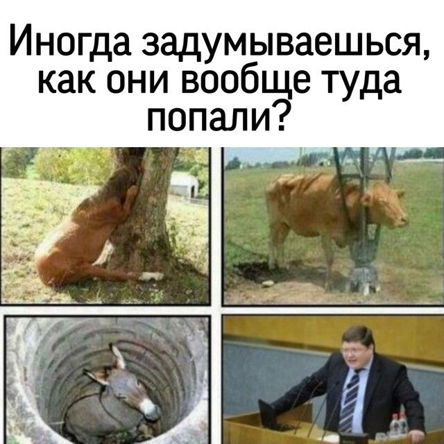 Иногда задумываешься как они вообще туда попали ч