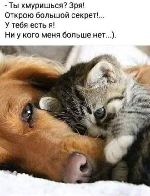 Ты хмуришься Зря Открою большой секрет У тебя есть я Ни у кого меня больше нет