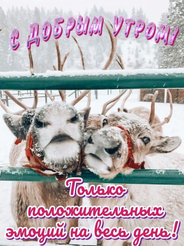 Ы : амна ительных,     1 оч вл  р , еа