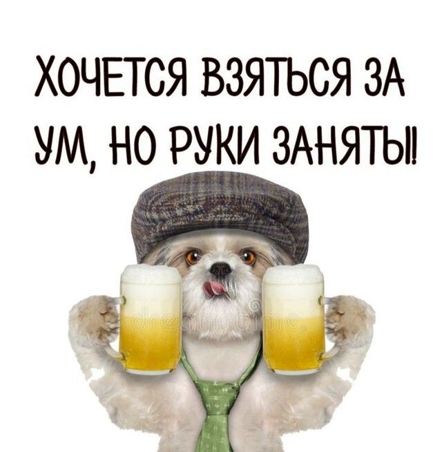 Хочется взяться за ум, но руки заняты!