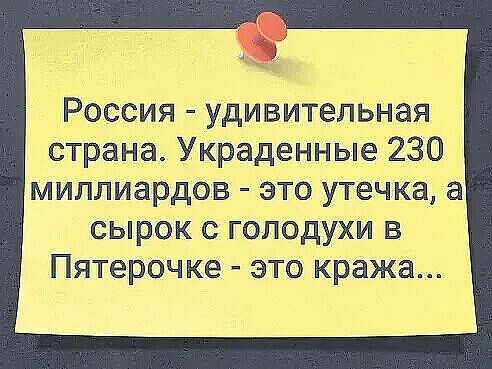 россия  удивительная страна. Украденные 230 миллиардов  это утечка, а сырок с голодухи в пятерочке  это кража...