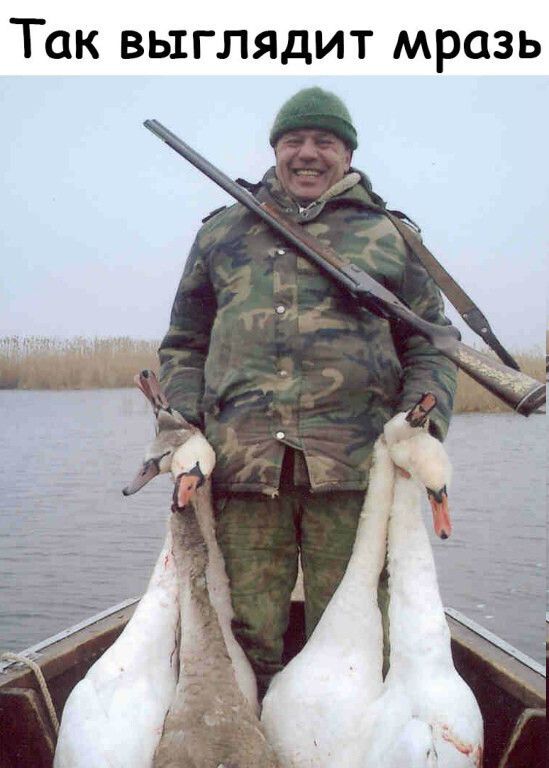ТСК ВЫГЛЯДИТ МРСЗЬ