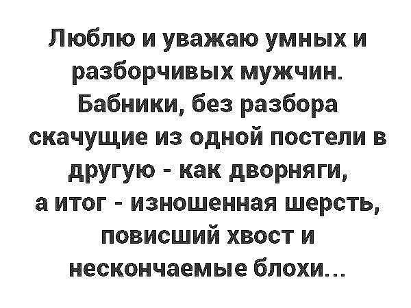 Люблю и уважаю умных и разборчивых мужчин Бабники без разбора скачущие из одной постели в другую как дворняги а итог изношенная шерсть повисший хвост и нескончаемые блохи