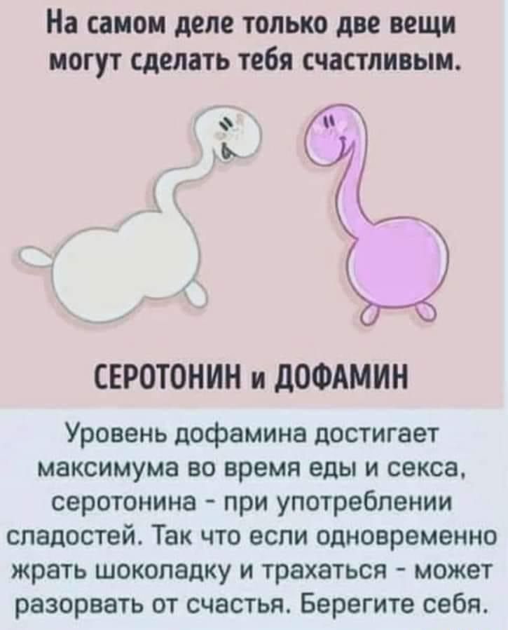 На самом деле только две вещи могут сделать тебя счастливым ьр СЕРОТОНИН и дОФАМИН Уровень дофамина достигает максимума во время еды и секса серотонина при употреблении сладостей Так что если одновременно жрать шоколадку и трахаться может разорвать от счастья Берегите себя