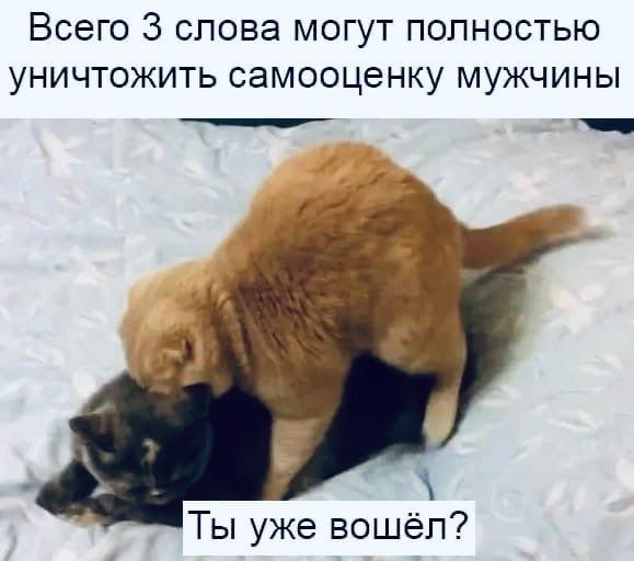 Всего 3 слова могут полностью уничтожить самооценку мужчины _ Ты уже вошёл
