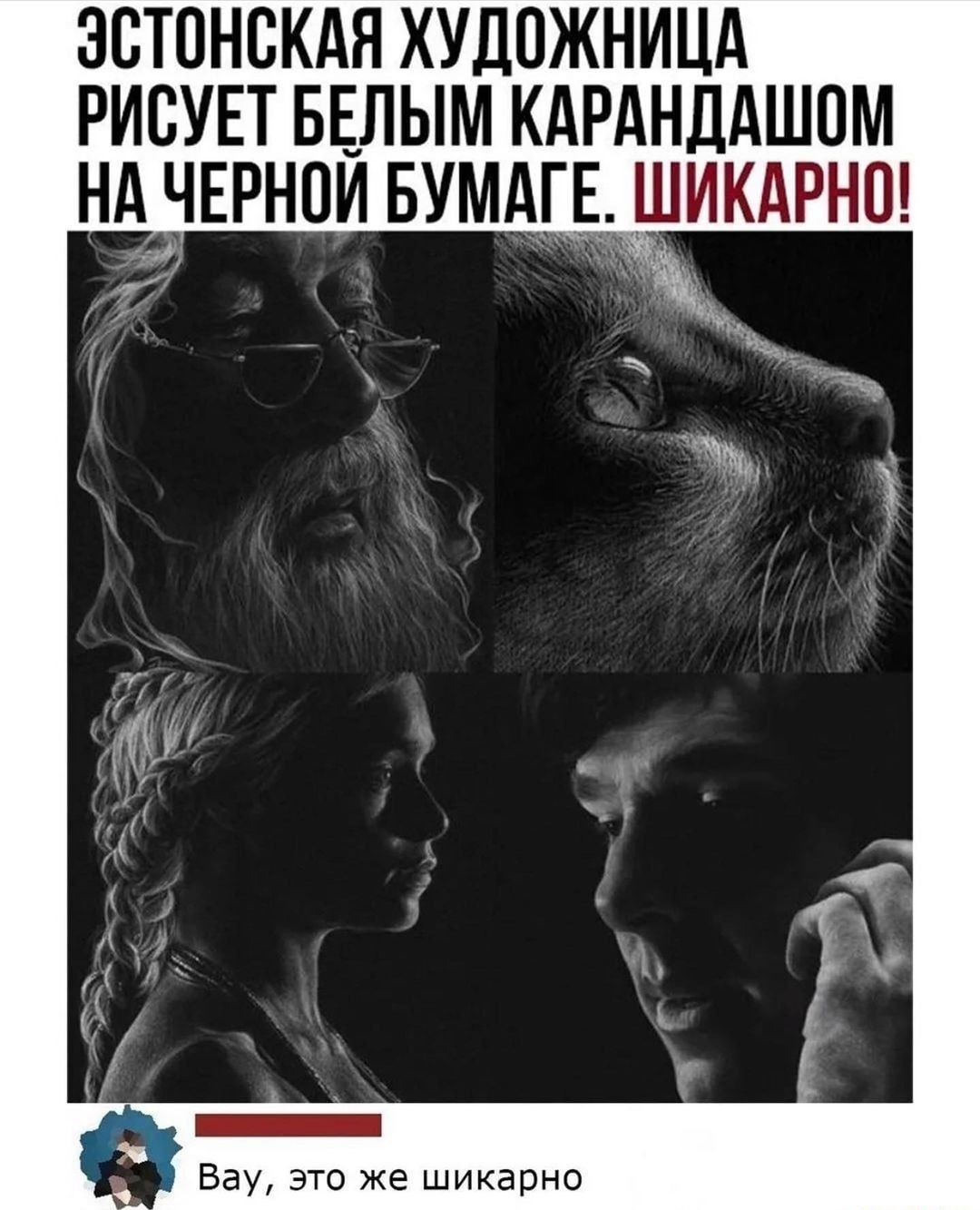 ЭСТОНСКАЯ ХУДОЖНИЦА РИСУЕТ БЕЛЫМ КАРАНДАШОМ НА ЕЧРНОИ БУМАЕШИКАРНО 11