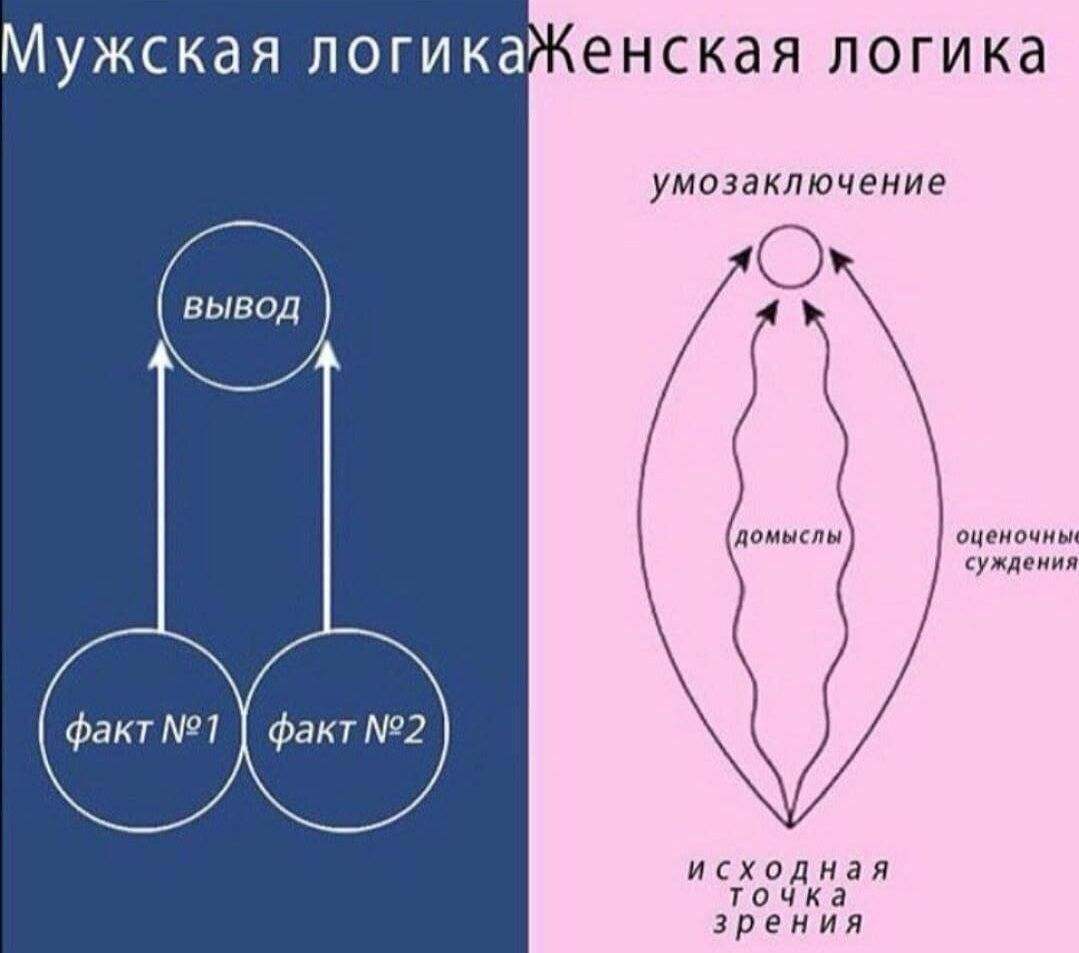 Мужская логика енская логика УМОЗЗКЛЮЧЭНИЭ ВЫВОД ломить сцена шви суждения исходная точка зрения