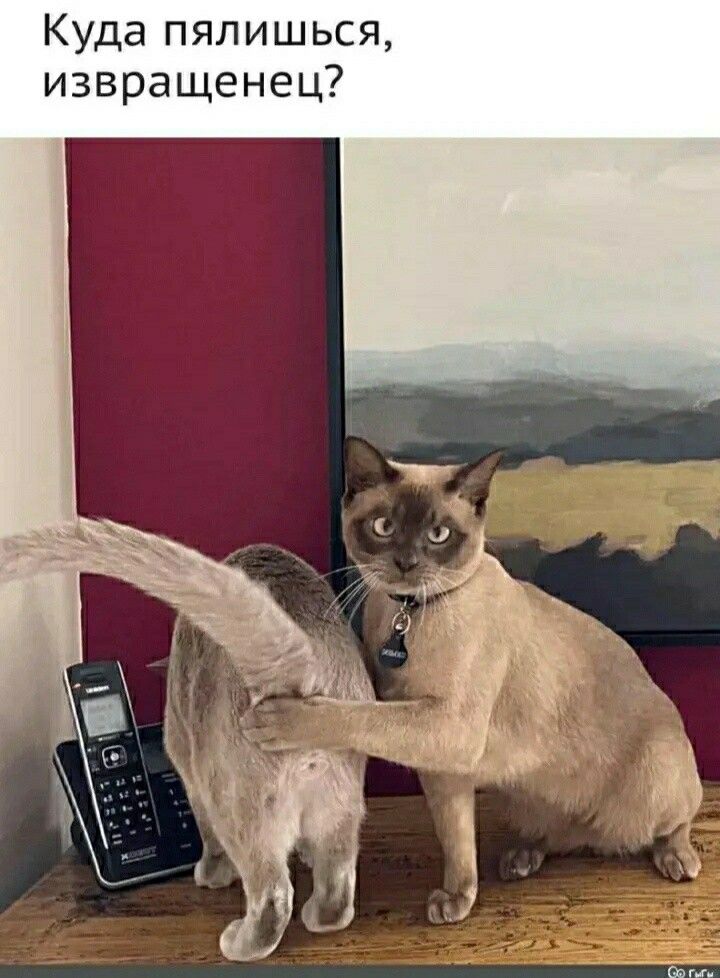 Куда пялишься извращенец