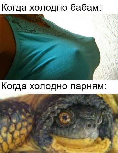 Когда хоподно бабам Когда холодно парням