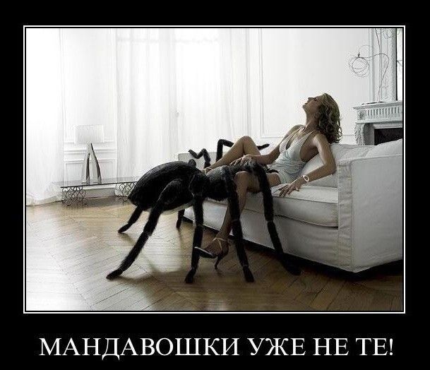 МАНДАВОШКИ УЖЕ НЕ ТЕ