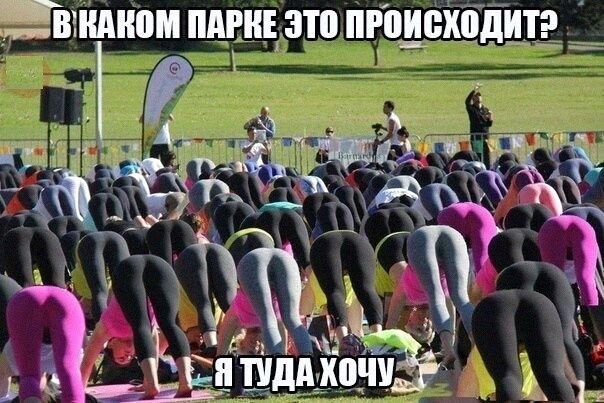 Зв. Каком парке это происходитэ