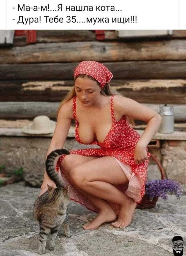 маам!...я нашла кота...  Дура! Тебе 35....мужа ищи!!!