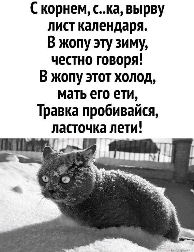 Скорнем, с..ка, вырву лист календаря. В жопу эту зиму, честно говоря! В жопу этот холод, мать его ети, травка пробивайся, ласточка лети!