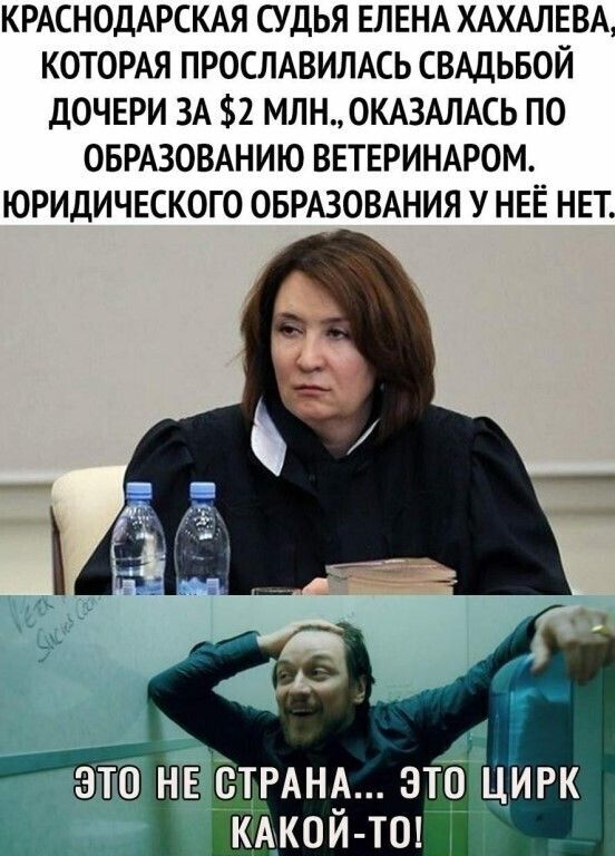 КРАСНОДАРСКАЯ СУДЬЯ ЕЛЕНА ХАХАЛЕВА КОТОРАЯ ПРОСЛАВИЛАСЬ СВАДЬБОЙ д0ЧЕРИ ЗА 2 МЛНОКАЗАЛАСЬ ПО ОБРАЗОВАНИЮ ВЕТЕРИНАРОМ ЮРИДИЧЕСКОГО ОБРАЗОВАНИЯ У НЕЁ НЕТ эта НЁ О_АНА этр киви тт