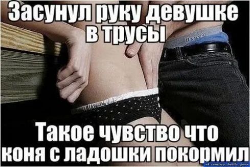 Тшп:ь! Д  в х таное чувствочто коня с ладошки покормил