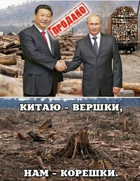 ЦМК кёврщйиъ