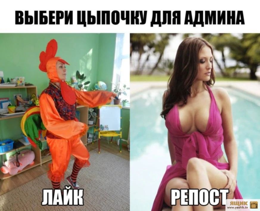 Выбери цыпочку для админа