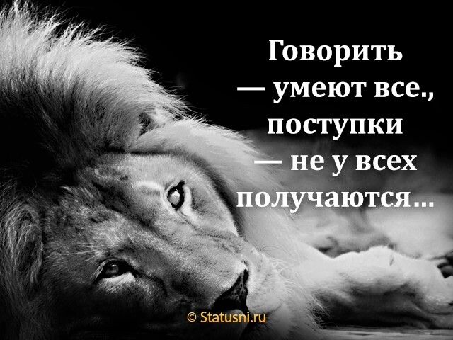 Говорить умеют все поступки