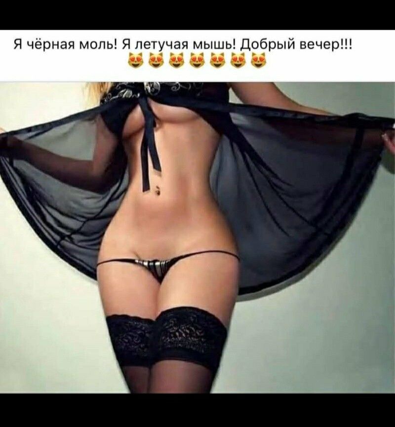Я чёрная моль Я летучая мышь Добрый вечер