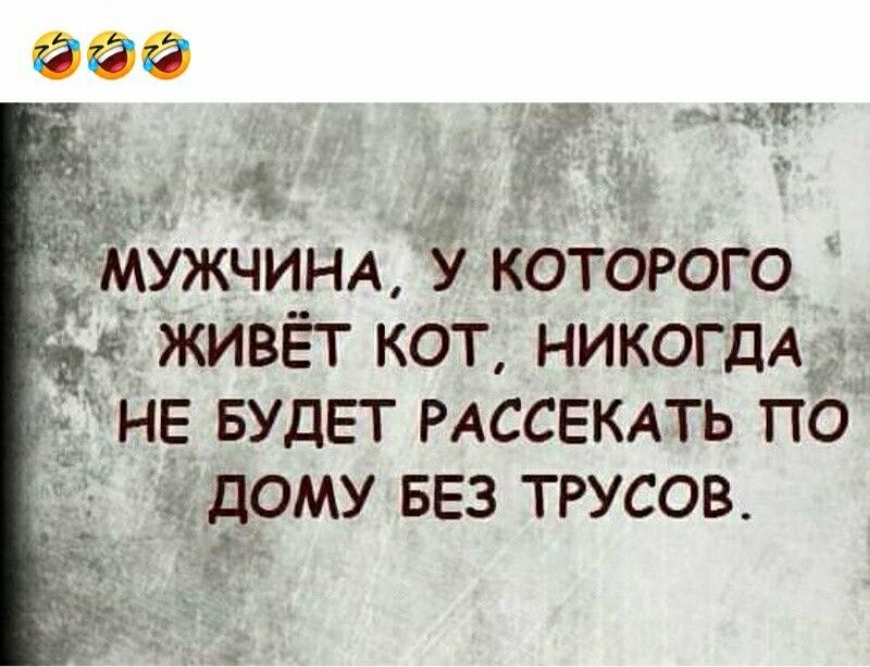 д МУЖЧИНА У КОТОРОГО живёт кот НИКОГДА НЕ БУДЕТ РАССЕКАТЬ по аДОМУ БЕЗ ТРУСОВ