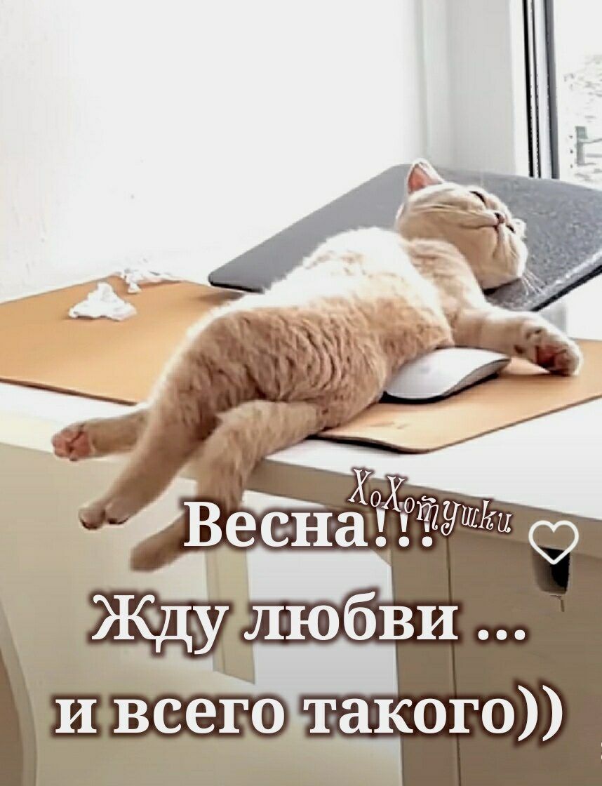 иьвсе__о _такого
