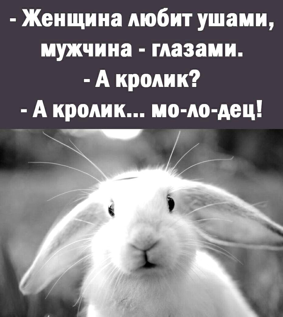 Женщина любит ушами мужчина глазами А кролик А кролик мо ло дец