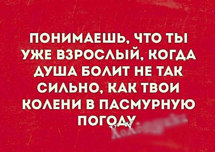 попавшим тішд шш в