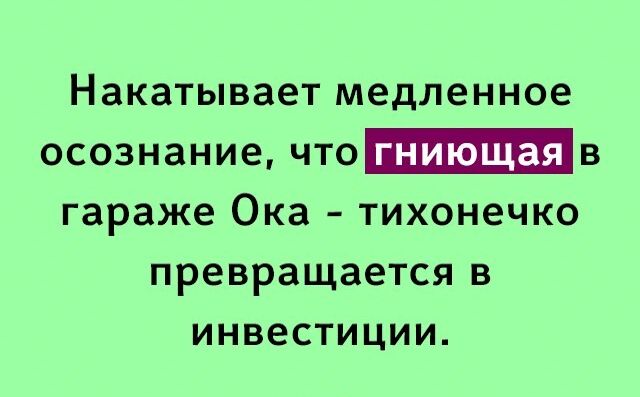 Накатывает медленное осознание чтов гараже Ока тихонечко превращается в инвестиции