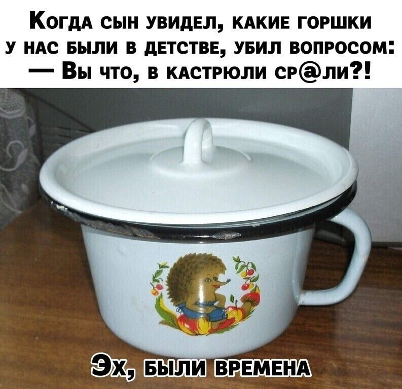 КогдА сын увидел кдкив горшки у ндс БЫЛИ в детстве увил вопросом Вы что в кдстрюли срли