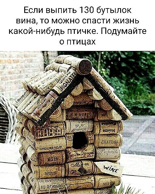 Если выпить 130 бутылок вина то можно спасти жизнь какой нибудь птичке Подумайте о птицах