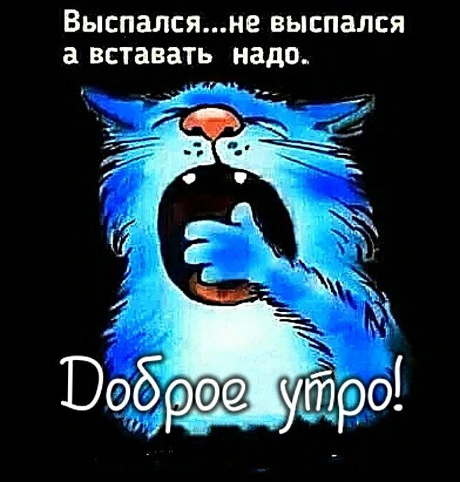 Выспалсяне выспался а вставать надо