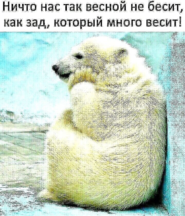 Ничтв Нас так задней не бесит как зад которым мнет весит