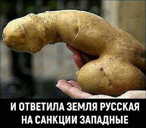 И ОТВЕТИЛА ЕЛЯ РУССКАЯ НА САНКЦИИ ЗАПАДНЫЕ