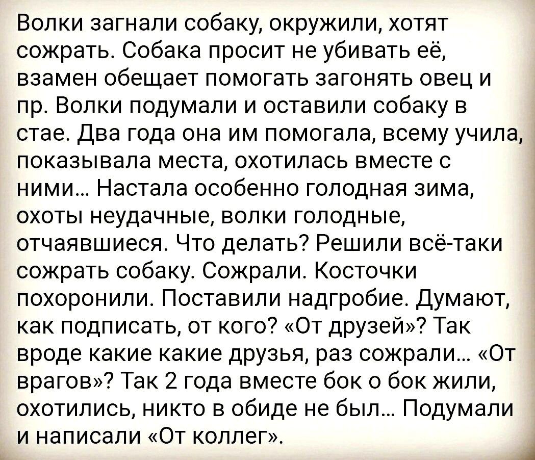 Друзьями остаются те кого с годами не сожрала зависть картинки